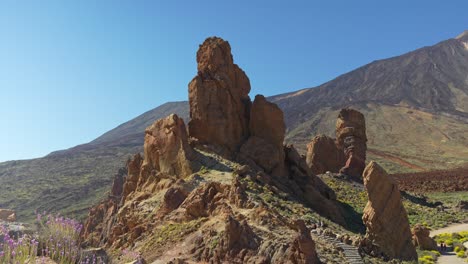Landscape-of-Teide-national-park-with-blooming-wallflowers-and-Roque-Cinchado