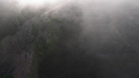 Flug-über-Den-Kanarischen-Kiefernwald-Und-Überquerung-Eines-Wolkenmeers-Bei-Sonnenuntergang