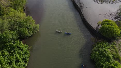 aerial-view,-rowing-a-canoe-on-a-river-edged-with-dense-green-trees