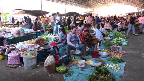 At-Dao-Heuang-Market,-women-sit-surrounded-by-their-vegetable-displays-on-the-ground,-while-a-vast-crowd-looms-in-the-background