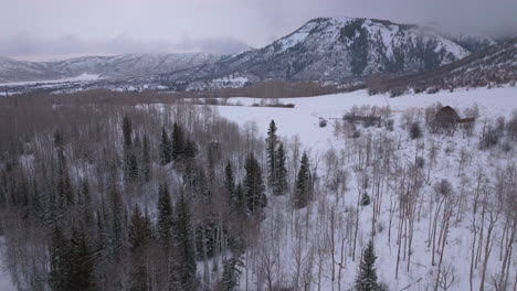 Winter-red-barn-Aspen-Snowmass-Pitkin-county-wilderness-aerial-drone-Rocky-Mountains-Colorado-Basalt-Carbondale-Sopris-Maroon-Bells-Ashcroft-Independence-Pass-cloudy-foggy-snowy-morning-forward-motion