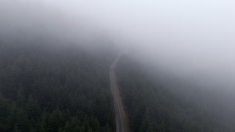 Nebelschleier:-Der-Verhüllte-Waldweg