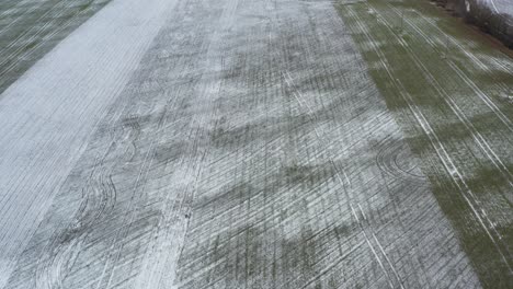 Forward-aerial-view-on-frozen-grain-field-damage-with-straight-green-lines