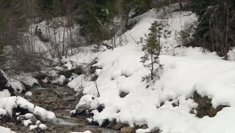 Fluss-Fließt-Durch-Schneebedeckte-Felsen-Im-Boise-National-Forest,-Idaho