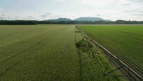 Luftaufnahme-Eines-Bewässerungssystems-Zur-Bewässerung-Von-Nutzpflanzen,-Sonniger-Tag-In-Dardanelle,-AR,-USA,-Agrarlandschaft