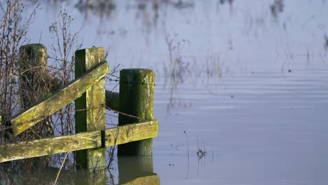 Alter,-Mit-Moos-Bedeckter-Zaun-über-Dem-Wasser-Während-Einer-Winterflut-In-Großbritannien,-Globale-Erwärmung-Und-Steigender-Wasserspiegel