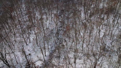 Mount-sequoyah,-arkansas,-with-trees-dusted-in-snow,-aerial-view