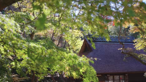 Herbstszene-In-Japan,-Teehaus-Mit-Strohdach-In-Wunderschönem-Park-4k