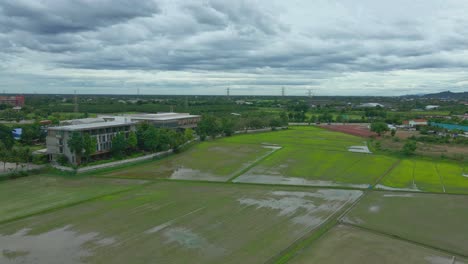 Aerial-Drone-Over-Wet-Paddy-Fields-Next-to-Navela-Hotel-in-Ratchaburi-Province,-Thailand