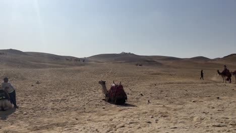 Rider-on-camel-in-sunlit-Egyptian-desert,-distant-figures-on-horizon,-clear-blue-sky