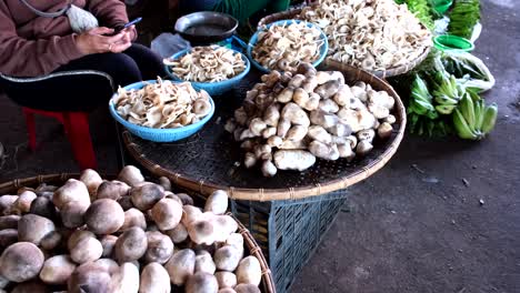 A-variety-of-fresh-mushrooms-is-showcased,-with-the-hands-of-an-unidentifiable-individual-using-a-mobile-phone-nearby