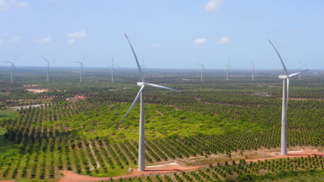 Vista-Aérea-Del-Ventilador-De-Viento-En-Medio-De-Una-Zona-Verde-De-Palmeras,-Ceará,-Brasil.