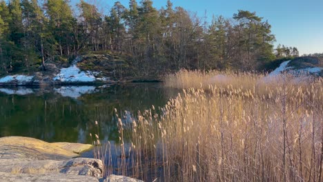 Tranquil-scene-in-Stockholm-archipelago-with-snow-patches-and-reeds