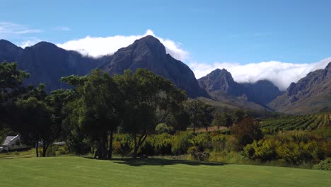 Vineyard-and-surrounding-mountains-and-trees-in-Stellenbosch,-South-Africa