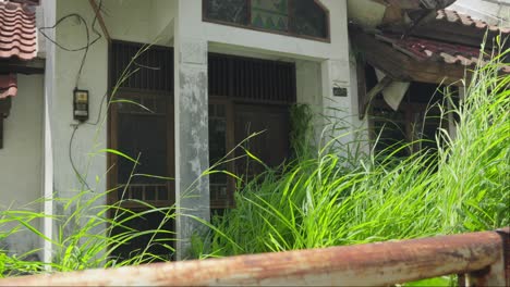 Overgrown-Grass-On-Abandoned-House-Building-During-Sunny-Day