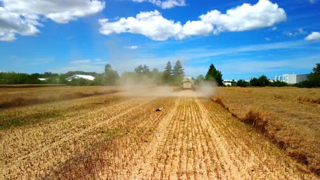 Stork-Walking-Alone-On-The-Field-After-Harvesting