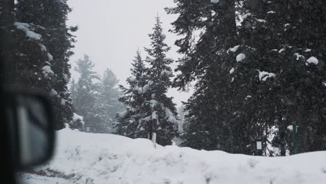 Schneefall-Im-Winter-Im-Kiefernwald-In-Indien