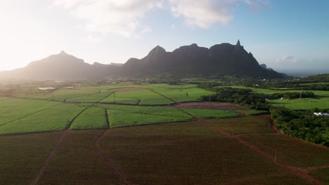 The-lush-peter-both-mountain-at-sunrise-with-vivid-green-fields,-aerial-view