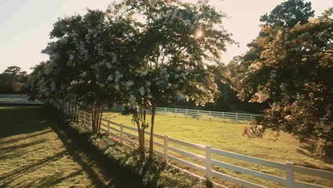 Golden-hour-sunlight-along-farmhouse-property-garden