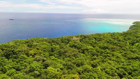 Vuelo-Cinematográfico-De-Drones-Sobre-El-Bosque-En-Fiji-Con-Un-Crucero-Al-Fondo