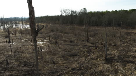 Kahle-Bäume-Und-Trockenes-Gras-Im-Point-Remove-Wildlife-Area,-Blackwell,-Arkansas,-Winterlandschaft,-Luftaufnahme