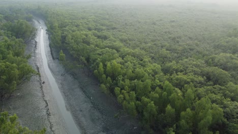 Ariel-view-shot-of-Sundarban,-which-is-one-of-the-biggest-tiger-reserve-forest-in-Asia