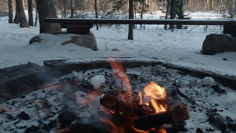 Dolly-shot-of-campfire-flames-burning-in-winter-forest,-snow-on-bench