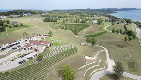 Vineyard-landscape-near-great-lakes-in-Michigan,-aerial-orbit-view