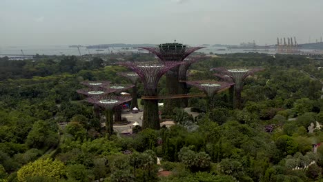 Aerial-Panning-Views-Over-Botanical-Gardens-with-Singapore's-Supertree-Architecture-and-Sculptures