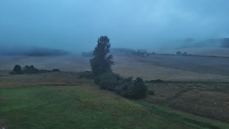 Mañana-Brumosa-Sobre-Nanclares-De-Gamboa-Con-Un-árbol-Solitario-Entre-Campos,-País-Vasco,-Vista-Aérea