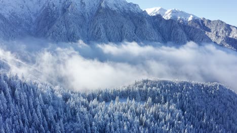 Montañas-Nevadas-De-Bucegi-Con-El-Pico-Bucsoiu-Elevándose-Por-Encima-Del-Bosque-Brumoso