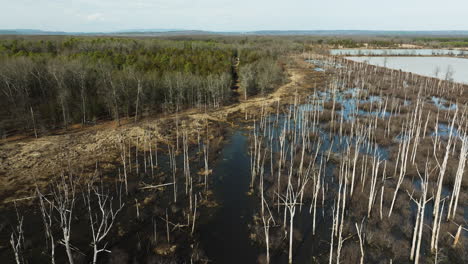 Point-remove-wildlife-area,-blackwell,-arkansas,-with-dead-trees-and-water,-aerial-view