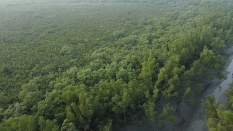 Vista-Aérea-De-Sundarban,-Que-Es-Uno-De-Los-Bosques-De-Reserva-De-Tigres-Más-Grandes-De-Asia.