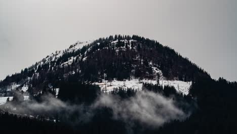 Wunderschöne-Winterlandschaft-Mit-Schneebedeckten-Bäumen-Und-Nebel,-Zeitrafferansicht