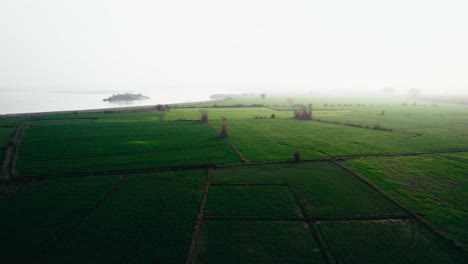 Misty-morning-over-green-Pakistani-fields,-hazy-sunlight,-aerial-view