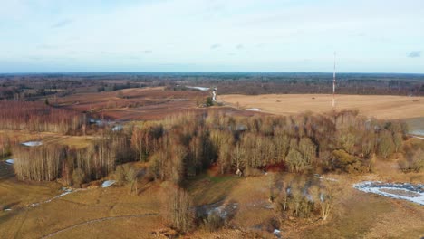 Luftaufnahme-Der-Lettischen-Gelben-Landschaft-Mit-Wald-Und-Ackerland