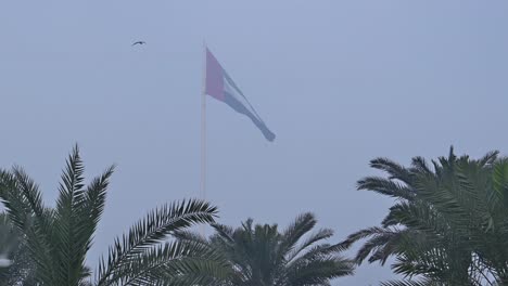 Nebel-In-Den-Vereinigten-Arabischen-Emiraten:-Die-Flagge-Der-Vereinigten-Arabischen-Emirate-Weht-Im-Morgennebel-In-Der-Luft