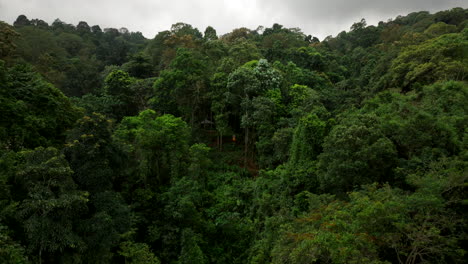 Drone-Volando-Hacia-Una-Persona-Aislada-En-La-Selva-Salvaje