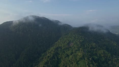 Sliding-drone-shot-of-rainforest-covered-mountains