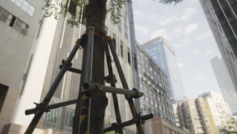Static-low-angle-shot-of-scaffolding-supporting-a-tree-in-downtown-city-centre