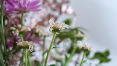 Close-up-view-of-a-boutique-featuring-a-variety-of-wilting-and-dried-up-white-wildflowers
