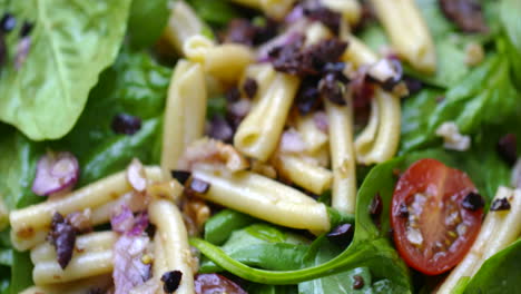 Pasta-salad-footage