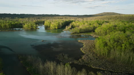 Exuberante-Vegetación-Alrededor-Del-Lago-Sequoyah,-Arkansas-Durante-Un-Día-Tranquilo,-Vista-Aérea