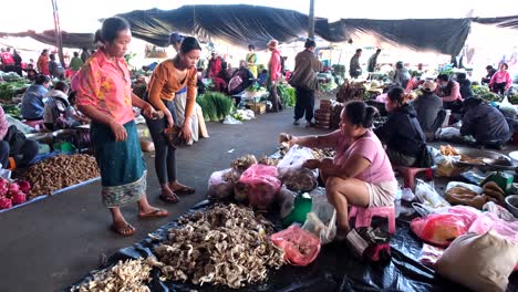 A-bustling-open-air-market-features-a-diverse-array-of-vegetables-and-agricultural-products-on-display