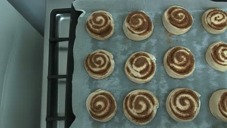 Two-dozen-cinnamon-buns-on-a-baking-tray-ready-for-the-oven