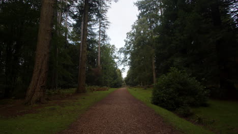 Path-up-to-Blackwater-Arboretum