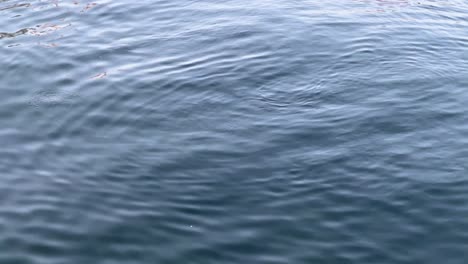 Close-up-of-tranquil-blue-water-surface-with-gentle-ripples,-reflecting-a-serene-atmosphere
