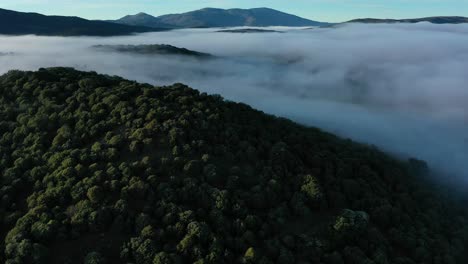 flight-in-a-valley-above-the-clouds-seeing-the-highest-mountains-and-turning-the-camera-we-visualize-the-trees-that-reflect-the-sun's-rays-in-a-winter-sunrise-with-a-blue-sky-in-Avila-Spain