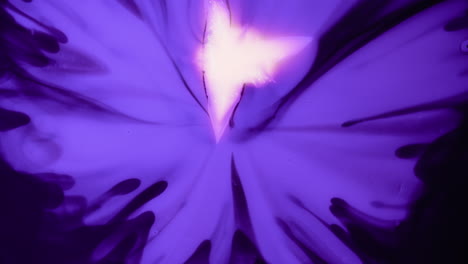 Expanding-Cosmic-Purple-Abstract-Art-Fluid-Effect