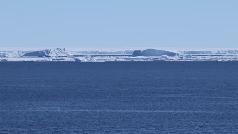 Orcas-Jagen-Vor-Eisbergen-In-Der-Antarktis